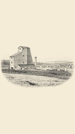 Von Storch Mine Coal Fire